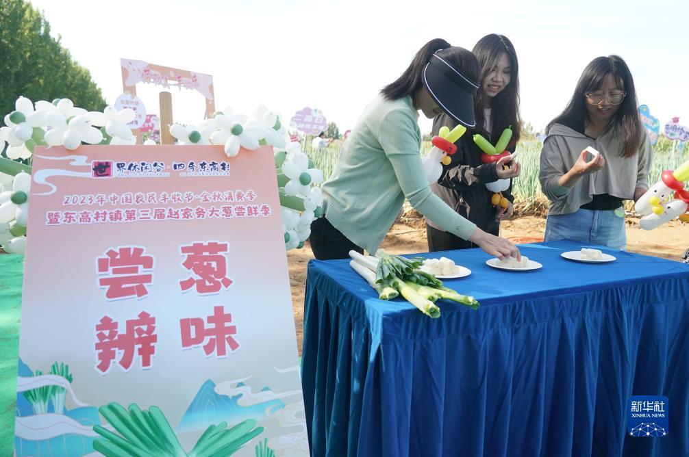 奔驰宝马游戏机下载